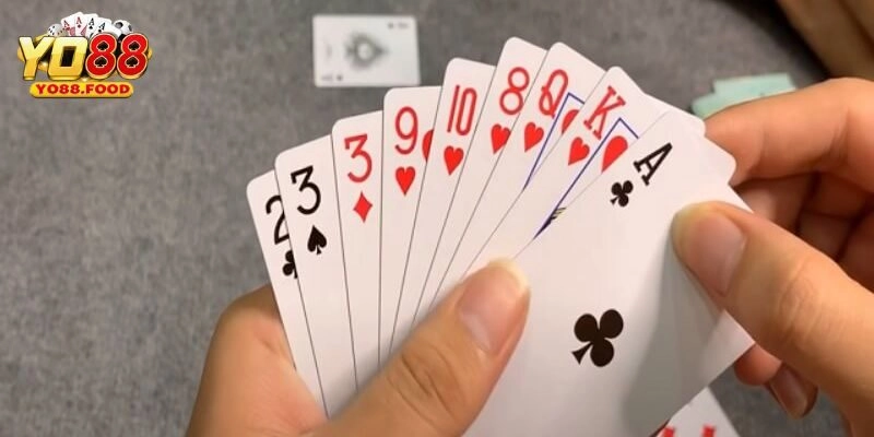 Cách Chơi Bài Phỏm – Mẹo Hay Giúp Bạn Luôn Dẫn Trước